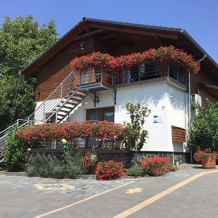 Dravecz Apartman 巴拉通雷勒 外观 照片